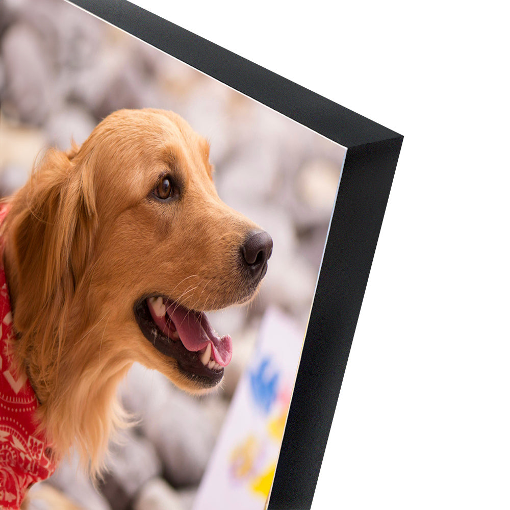 DIY Picture Wall using special photo tile triple black foam with